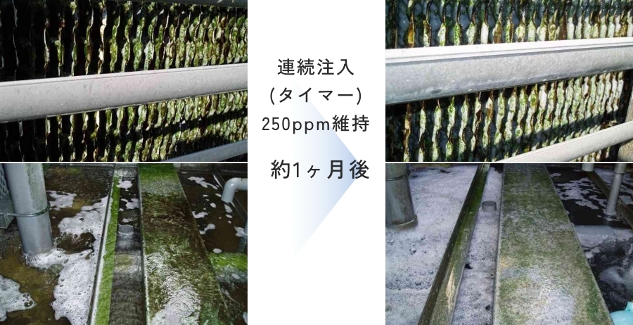 充填材の汚れが一気に解消！
