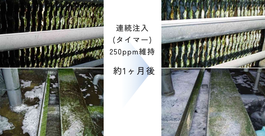 充填材の汚れが一気に解消！