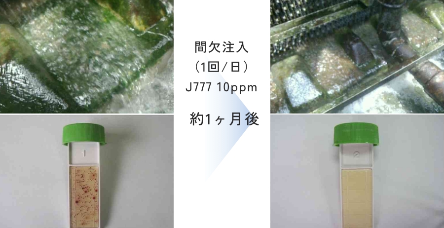 レジオネラ菌がなくなった！